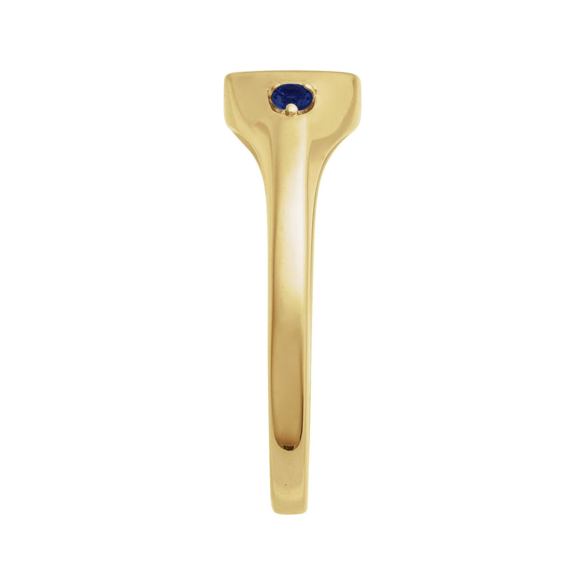 Sapphire Row Engravable Lab-Grown Gemstone Accented Signet Ring - Blue Sapphire, 14K Yellow Gold (view 3)