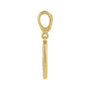 Sapphire Row Natural Diamond Pavé Disc Charm - 14K Yellow Gold (view 2)