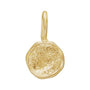 Sapphire Row Gold Organic Disc Charm - Default Title