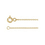 Sapphire Row Gold Seashell Anklet - Default Title (view 3)