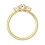 Sapphire Row Natural Round Diamond Hidden-Detail Three-Stone Engagement Ring - 14K Yellow Gold, 1/2 ctw (view 2)