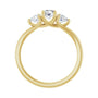 Sapphire Row Natural Round Diamond Hidden-Detail Three-Stone Engagement Ring - 14K Yellow Gold, 3/4 ctw (view 2)