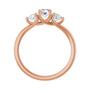 Sapphire Row Natural Round Diamond Hidden-Detail Three-Stone Engagement Ring - 14K Rose Gold, 3/4 ctw (view 2)