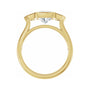 Sapphire Row Lab-Grown Elongated Cushion Diamond Bezel-Set Three-Stone Engagement Ring - 14K Yellow Gold (view 2)