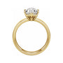 Sapphire Row Lab-Grown Elongated Hexagon Diamond Solitaire Engagement Ring - 14K Yellow Gold, 3 ctw (view 2)