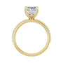 Sapphire Row Lab-Grown Emerald-Cut Diamond Accented Engagement Ring - 14K Yellow Gold, 2 3/4 ctw (view 2)