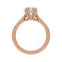 Sapphire Row Lab-Grown Emerald-Cut Diamond Cathedral Claw-Prong Solitaire Engagement Ring - 14K Rose Gold, 3 ctw (view 2)
