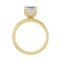 Sapphire Row Lab-Grown Emerald-Cut Diamond Claw-Prong Engagement Ring - 14K Yellow Gold, 2 1/2 ctw (view 2)