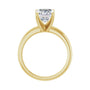 Sapphire Row Lab-Grown Emerald-Cut Diamond Solitaire Engagement Ring - 14K Yellow Gold, 2 1/2 ctw (view 2)