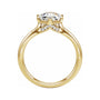 Sapphire Row Lab-Grown Hexagon Diamond Accented Engagement Ring - 14K Yellow Gold, 2 1/8 ctw (view 2)
