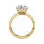 Sapphire Row Lab-Grown Hexagon Diamond Solitaire Engagement Ring - 14K Yellow Gold, 3 ctw (view 2)