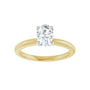 Sapphire Row Lab-Grown Oval Diamond Solitaire Engagement Ring - 14K Yellow & White Gold, 3/4 ctw (view 3)