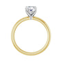 Sapphire Row Lab-Grown Round Diamond Claw-Prong Engagement Ring - 14K Yellow & White Gold, 1 ctw (view 2)