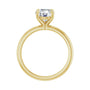 Sapphire Row Lab-Grown Round Diamond Claw-Prong Engagement Ring - 14K Yellow Gold, 1 1/2 ctw (view 2)