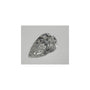 1.50 ct Pear Natural Diamond – H I1 – Faceted Cut – GIA Certified — Sapphire Row