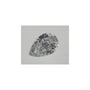 1.51 ct Pear Natural Diamond – D SI1 – Faceted Cut – EGL USA Certified — Sapphire Row