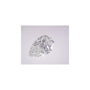 5.03 ct Pear Lab-Grown Diamond – G VVS2 – Faceted Cut – IGI Certified — Sapphire Row