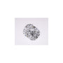 1.06 ct Elongated Cushion Lab-Grown Diamond – D VS1 – Faceted Cut – IGI Certified — Sapphire Row