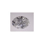 2.74 ct Oval Lab-Grown Diamond – F VS2 – Faceted Cut – IGI Certified — Sapphire Row