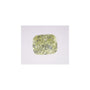 1.51 ct Elongated Cushion Lab-Grown Diamond – Fa VS1 – Faceted Cut – IGI Certified — Sapphire Row