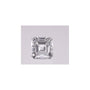 0.54 ct Asscher Lab-Grown Diamond – E VVS2 – Step-cut – GCAL Certified — Sapphire Row