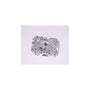 0.70 ct Radiant Lab-Grown Diamond – E VVS2 – Faceted Cut – IGI Certified — Sapphire Row
