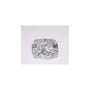 1.61 ct Elongated Cushion Lab-Grown Diamond – D VS1 – Faceted Cut – GCAL Certified — Sapphire Row