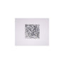 2.75 ct Square Lab-Grown Diamond – E VVS2 – Princess-cut – IGI Certified — Sapphire Row