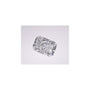 1.52 ct Radiant Lab-Grown Diamond – E VVS1 – Faceted Cut – GIA Certified — Sapphire Row