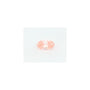 1.00 ct Oval Lab-Grown Diamond – Fa VS1 – Faceted Cut – IGI Certified — Sapphire Row