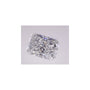 2.73 ct Radiant Lab-Grown Diamond – E VS1 – Faceted Cut – IGI Certified — Sapphire Row