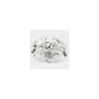 0.84 ct Oval Lab-Grown Diamond – E VS1 – Faceted Cut – GCAL Certified — Sapphire Row