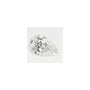 1.59 ct Pear Lab-Grown Diamond – E VS1 – Faceted Cut – GCAL Certified — Sapphire Row