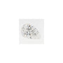1.54 ct Pear Lab-Grown Diamond – D VS1 – Faceted Cut – GCAL Certified — Sapphire Row