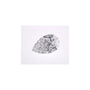 1.42 ct Pear Lab-Grown Diamond – E VVS2 – Faceted Cut – IGI Certified — Sapphire Row