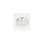 1.38 ct Radiant Lab-Grown Diamond – E VVS2 – Faceted Cut – GCAL Certified — Sapphire Row