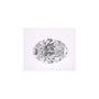 2.80 ct Oval Lab-Grown Diamond – E VS2 – Faceted Cut – IGI Certified — Sapphire Row
