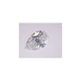 1.44 ct Pear Lab-Grown Diamond – E VS1 – Faceted Cut – IGI Certified — Sapphire Row