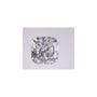 2.24 ct Cushion Lab-Grown Diamond – E VS1 – Faceted Cut – IGI Certified — Sapphire Row