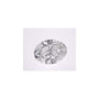 3.01 ct Oval Natural Diamond – H SI1 – Faceted Cut – GIA Certified — Sapphire Row