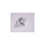 1.50 ct Pear Natural Diamond – D SI2 – Faceted Cut – GIA Certified — Sapphire Row
