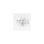 0.89 ct Oval Lab-Grown Diamond – E VS1 – Faceted Cut – GCAL Certified — Sapphire Row