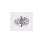 0.80 ct Oval Natural Diamond – H VS2 – Faceted Cut – GIA Certified — Sapphire Row