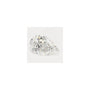 1.59 ct Pear Lab-Grown Diamond – E VS1 – Faceted Cut – GCAL Certified — Sapphire Row