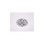 1.54 ct Oval Lab-Grown Diamond – D VVS2 – Faceted Cut – IGI Certified — Sapphire Row