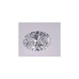 1.36 ct Oval Lab-Grown Diamond – D VVS2 – Faceted Cut – IGI Certified — Sapphire Row