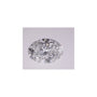 2.03 ct Oval Lab-Grown Diamond – D VVS2 – Faceted Cut – IGI Certified — Sapphire Row