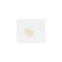 1.34 ct Oval Lab-Grown Diamond – Fa VS1 – Faceted Cut – IGI Certified — Sapphire Row