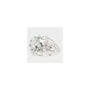 2.07 ct Pear Lab-Grown Diamond – E VS1 – Faceted Cut – GCAL Certified — Sapphire Row
