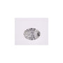 0.45 ct Oval Natural Diamond – H VS2 – Faceted Cut – GIA Certified — Sapphire Row
